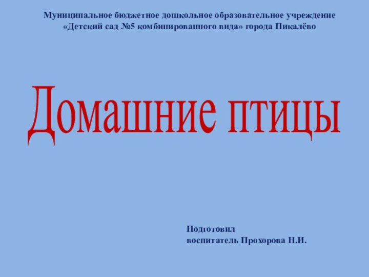 Домашние птицыМуниципальное бюджетное дошкольное образовательное учреждение«Детский сад №5 комбинированного вида» города ПикалёвоПодготовилвоспитатель Прохорова Н.И.