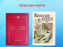 Животные Красной книги Краснодарского края презентация к уроку