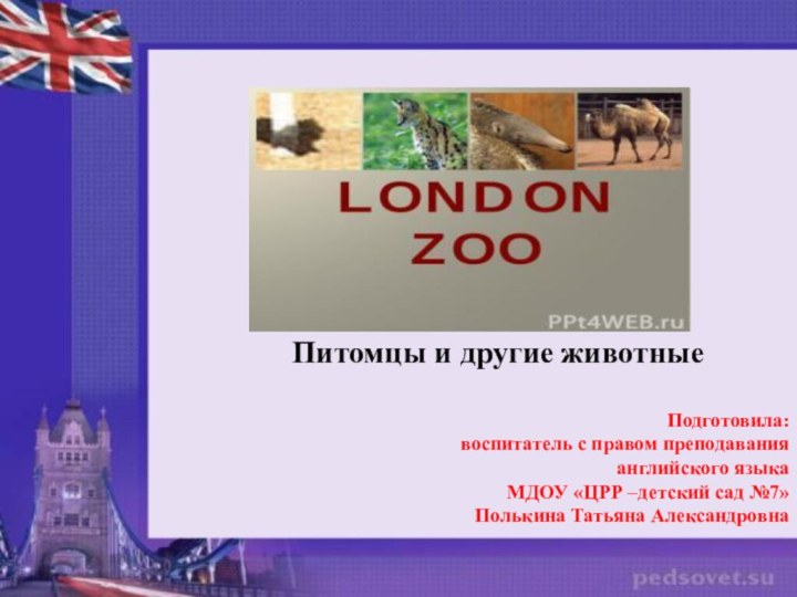 Питомцы и другие животныеПодготовила:воспитатель с правом преподаванияанглийского языкаМДОУ «ЦРР –детский сад №7»Полькина Татьяна Александровна