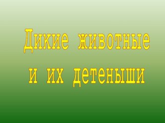 Презентация Дикие животные и их детёныши презентация