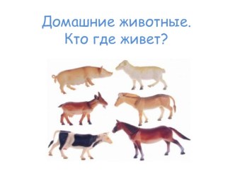 презентация Домашние животные презентация