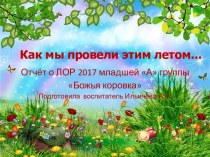 Презентация Как мы провели лето 2017 презентация к уроку (средняя группа)