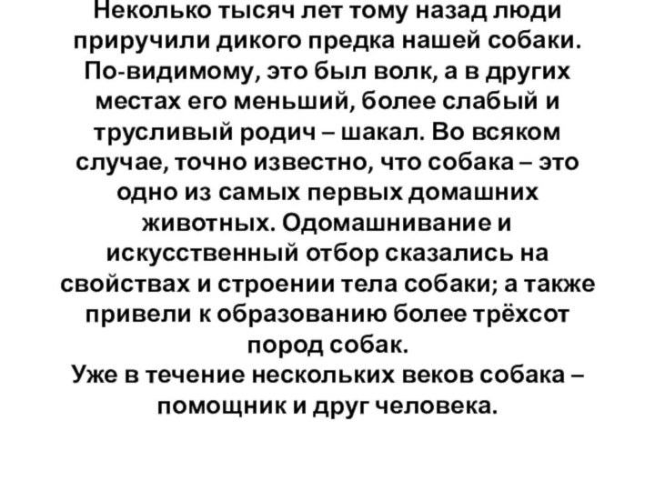 Неколько тысяч лет тому назад люди приручили дикого предка нашей