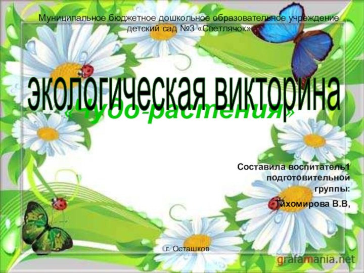 «Чудо-растения»экологическая викторина Составила воспитатель1 подготовительной группы:Тихомирова В.В,Муниципальное бюджетное дошкольное образовательное учреждение детский сад №3 «Светлячок»г. Осташков