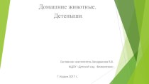 Домашние животные презентация урока для интерактивной доски по развитию речи (средняя группа)