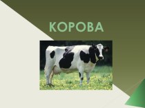 Презентация Корова презентация к уроку по окружающему миру (2 класс)