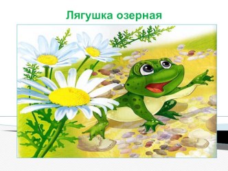 Презентация к ОД Лягушка презентация к уроку (старшая группа)
