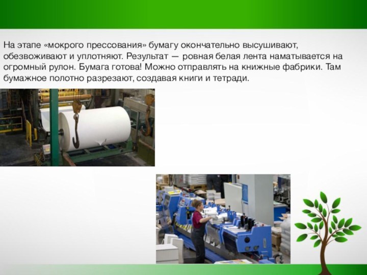 На этапе «мокрого прессования» бумагу окончательно высушивают, обезвоживают и уплотняют. Результат —