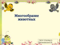 Многообразие животных презентация к уроку по окружающему миру (1 класс)