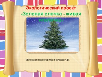 Из опыта работы. Экологический проект: Зеленая елочка-живая иголочка проект (средняя группа) по теме