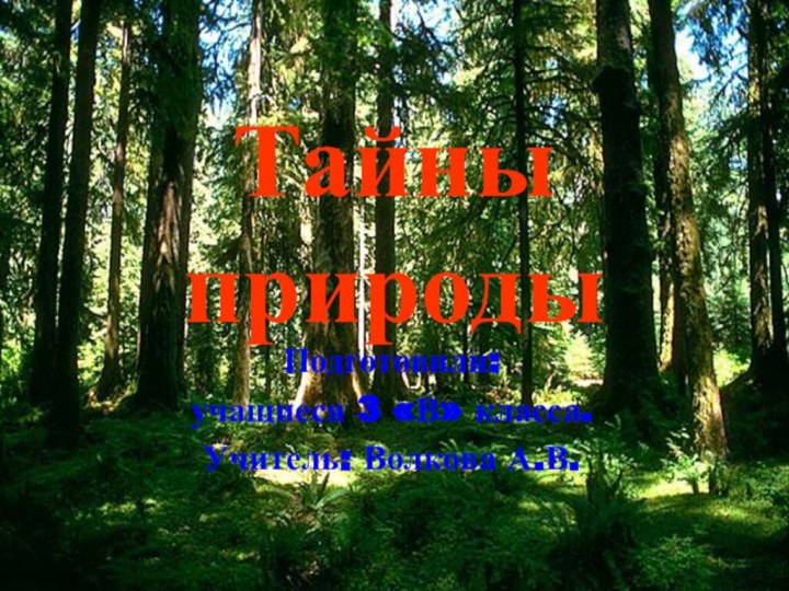 Тайны природыПодготовили:учащиеся 3 «В» класса.Учитель: Волкова А.В.