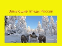 Зимующие птицы России. Презентация презентация к уроку по окружающему миру (старшая, подготовительная группа)