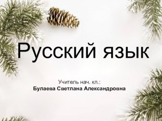 Презентация к уроку по русскому языку. Имя существительное. Падежи и склонение Обобщение презентация к уроку по русскому языку (4 класс)