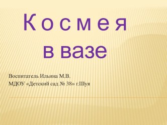 Космея в вазе. презентация урока для интерактивной доски по рисованию (старшая группа)