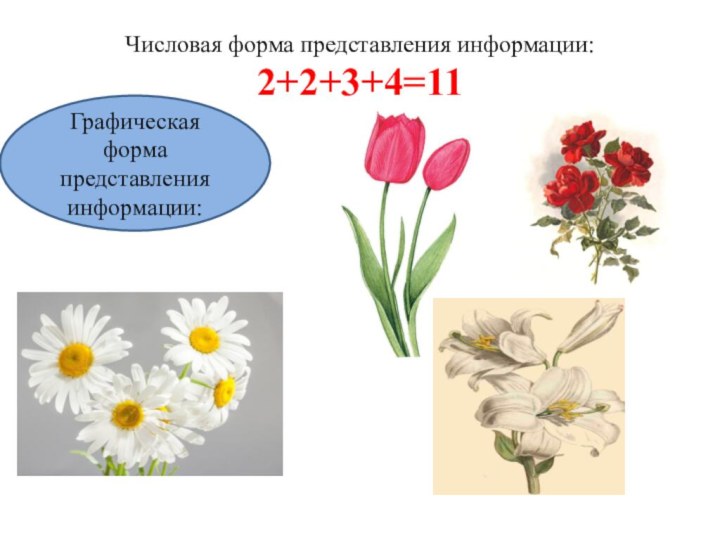 Числовая форма представления информации: 2+2+3+4=11Графическая форма представления информации: