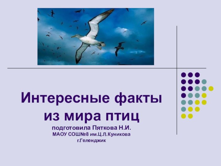 Интересные факты из мира птиц подготовила Пяткова Н.И. МАОУ СОШ№8 им.Ц.Л.Куникова г.Геленджик