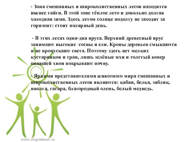 - Зона смешанных и широколиственных лесов находится южнее тайги. В этой зоне тёплое