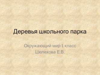 Презентация к уроку окружающего мира 1 класс Что общего у разных растений? презентация к уроку по окружающему миру (1 класс)