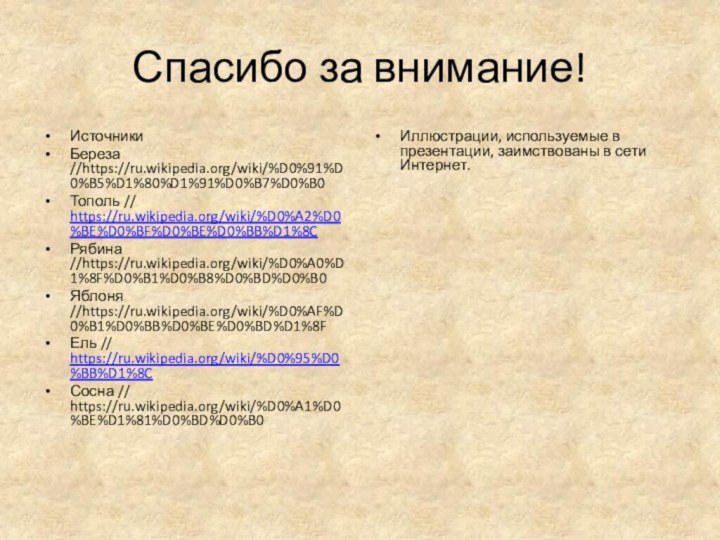 Спасибо за внимание!ИсточникиБереза //https://ru.wikipedia.org/wiki/%D0%91%D0%B5%D1%80%D1%91%D0%B7%D0%B0Тополь // https://ru.wikipedia.org/wiki/%D0%A2%D0%BE%D0%BF%D0%BE%D0%BB%D1%8CРябина //https://ru.wikipedia.org/wiki/%D0%A0%D1%8F%D0%B1%D0%B8%D0%BD%D0%B0Яблоня //https://ru.wikipedia.org/wiki/%D0%AF%D0%B1%D0%BB%D0%BE%D0%BD%D1%8FЕль // https://ru.wikipedia.org/wiki/%D0%95%D0%BB%D1%8CСосна // https://ru.wikipedia.org/wiki/%D0%A1%D0%BE%D1%81%D0%BD%D0%B0Иллюстрации,