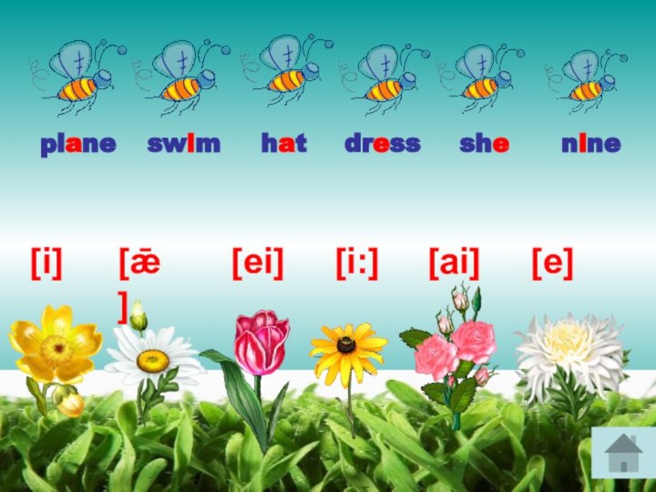 [i][ai][ǣ] [ei][i:][e]planeshe hatdress swimnine