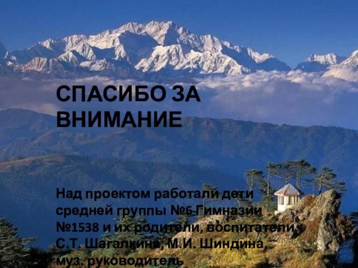 СПАСИБО ЗА ВНИМАНИЕНад проектом работали дети средней группы №6 Гимназии №1538 и