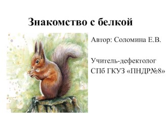 Презентация Знакомство с белкой презентация