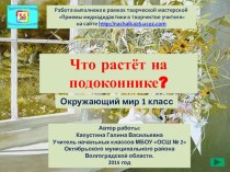 Презентация к уроку окружающий мир в 1 классе Что растёт на подоконнике презентация к уроку по окружающему миру (1 класс) по теме