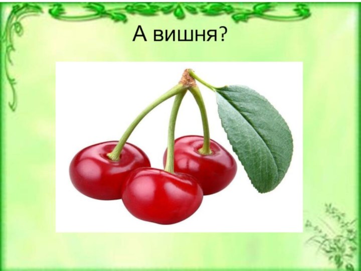 А вишня?