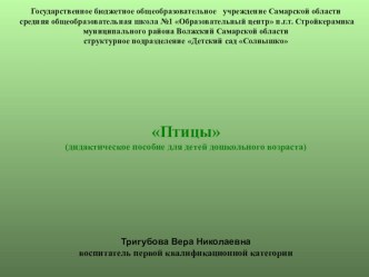 Мультимедийное дидактическое пособие по теме Птицы. методическая разработка по окружающему миру (средняя группа) по теме