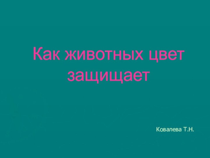 Как животных цвет защищаетКовалева Т.Н.