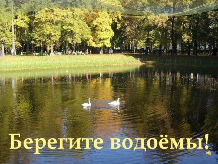 Берегите водоёмы!