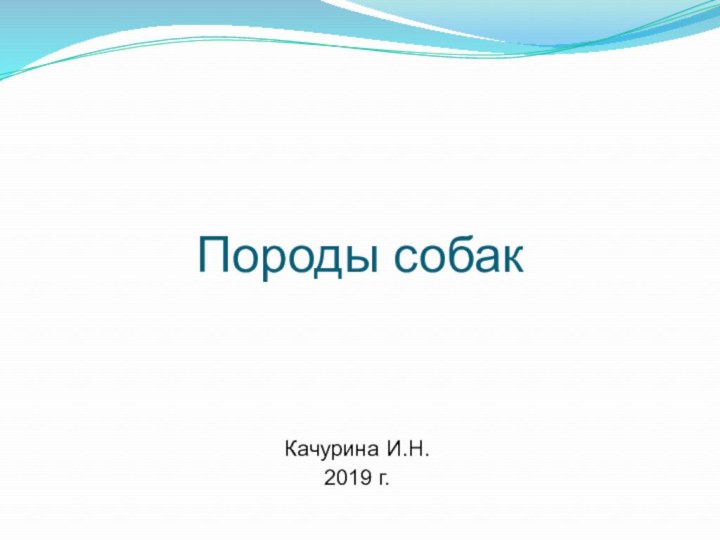 Породы собакКачурина И.Н.2019 г.