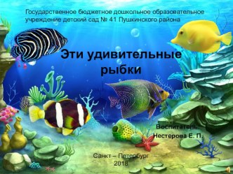 Эти удивительные рыбы презентация к уроку по окружающему миру (средняя группа)