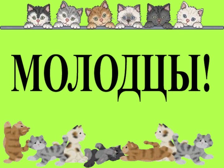 МОЛОДЦЫ!