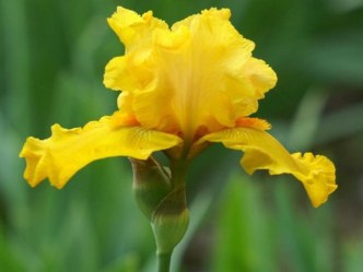 Презентация Соверши добрый поступок презентация к уроку (старшая, подготовительная группа)