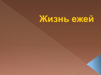 Презентация Жизнь ежей презентация к уроку по окружающему миру (3 класс)