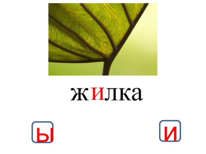 ыиижлка