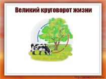 Конспект урока по окружающему миру Великий круговорот жизни 3 класс план-конспект урока по окружающему миру (3 класс)