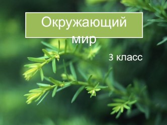 Конспект урока по окружающему миру 3 класс Охрана животных план-конспект урока по окружающему миру (3 класс) по теме