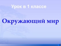 Окружающий мир 1 класс презентация почему нужно чистить зубы? презентация к уроку по окружающему миру (1 класс) по теме