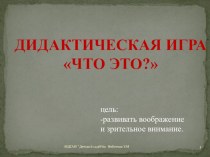 Интерактивная игра Что это? презентация к уроку (средняя группа)