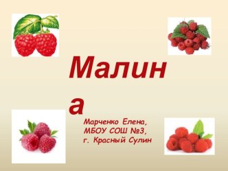 Растительный мир: Полезное растение- малина презентация к уроку по окружающему миру (1 класс) по теме