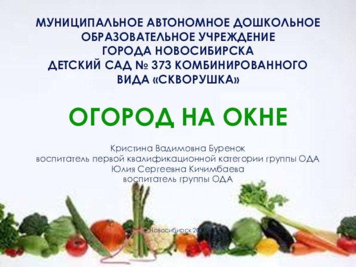 МУНИЦИПАЛЬНОЕ АВТОНОМНОЕ ДОШКОЛЬНОЕ ОБРАЗОВАТЕЛЬНОЕ УЧРЕЖДЕНИЕ  ГОРОДА НОВОСИБИРСКА ДЕТСКИЙ САД № 373