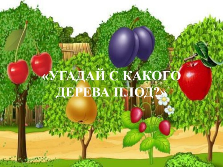 «УГАДАЙ С КАКОГО ДЕРЕВА ПЛОД?»