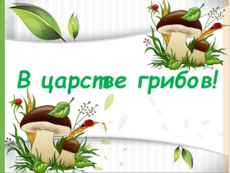 В царстве грибов презентация к уроку (средняя группа)