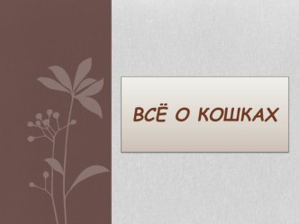 Презентация Кошки презентация по окружающему миру