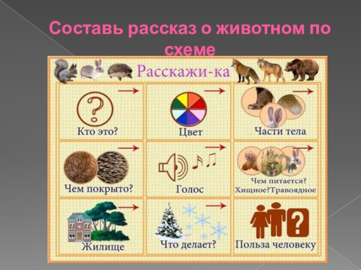 Составь рассказ о животном по схеме