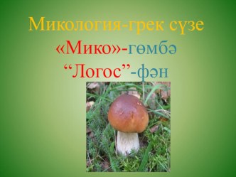 Гөмбәләр патшалыгында презентация к уроку по окружающему миру (2 класс)