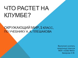 Что растет на клумбе? Окружающий мир, 1 класс, по учебнику А. А. Плешакова презентация к уроку по окружающему миру (1 класс)