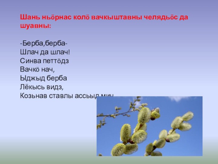 Шань ньöрнас колö вачкыштавны челядьöс да шуавны:-Берба,берба-Шлач да шлач!Синва петтöдзВачкö нач,Ыджыд бербаЛёкысь видз,Козьнав ставлы ассьыд мич.